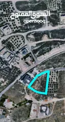  2 ارض 1700م2. بالعامريه. كوشان طابو  بسعر مغري مطله وكاشفه