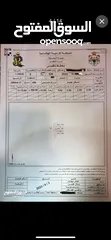  5 ارض مميزة للبيع في جريبا مطلة و مخدومة بالكامل على شارعين و قوشان مستقل