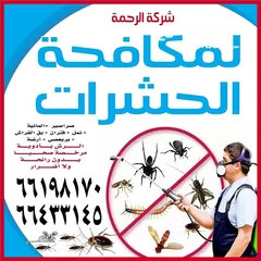  5 شركة الرحمة لمكافحة الحشرات والقوارض جميع مناطق الكويت خدمة 24 ساعة علي مدار اليوم