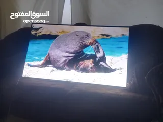  7 شاشه حجم 58 سامسونج سمارت للبيع
