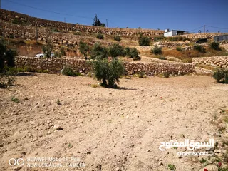  3 قطعة ارض مميزة في صوريف ابوشوك واصل كهرباء +زفتة (يمكن التبديل على شقة في مدينة الخليل)