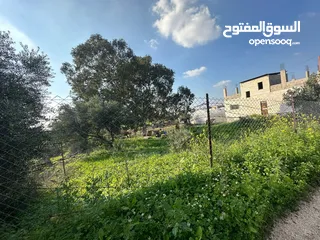  1 قطعة أرض نص دونم نار موقع قريب من المدينة مطلة على شارع فرعون واصلها جميع الخدمات (ليست فرعون البلد)