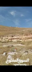  8 ارض للبيع 10 دونمات واجه 100 متر على شارع 20 معبد تبعد عن اشاره بلعما 1500 متر