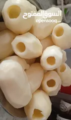  15 تجهيز خضار منزلي كوسا محفورة جاهزة ولف دوالي وسمبوسة وطبخ جاهز #مندي #كبسة #منسف