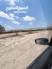  1 قطعة ارض 600 متر طابو للبيع في قلقيلية