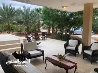  5 مزرعة في الشونة الجنوبية / غور نمرين - ref: 12165