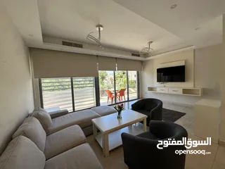  10 شقه مفروشه للايجار في عبدون ( Property 43198 )-174843735