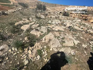  1 ارض بسعر مغري