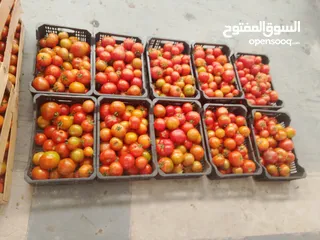  2 طماط عماني