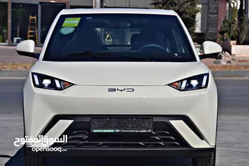  1 BYD SEAGULL FLYING 2024