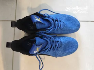  1 blue Shoes