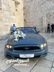  3 فورد موستانج GT 2014