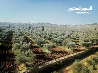  1 الارض والبناء للبيع سعر حرق عالكا كاش او تقسيط او دفعة واقسيط ممتاز جدا جدا منطقة راقية وحلوة جدا جد