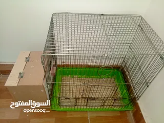  14 قفاص ثلاث معالف مع كوخ ونظاف