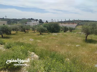  18 دنم مميز بطنا ع شارعين قرب شارع الستين الجديد