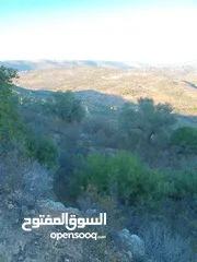  2 ارض للبيع 2 دونم و 218 متر طابو قريبة جدا من الخدمات والشارع بسعر مغري