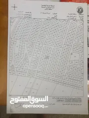  1 الارض للبيع في عين الباشا من المالك المباشره