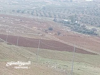  13 أرض في نادره دحل خربة المطوي شرق جرش