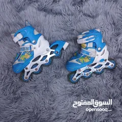  14 (   2025 ) Skat VIP