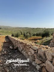  3 للبيع قطعة ارض ثلاث دنمات ونصف منطقة نادرة جرش بسعر مميز