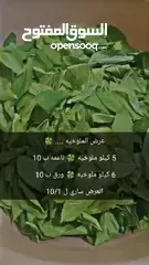  1 ملوخية مفرزة شغل طازة