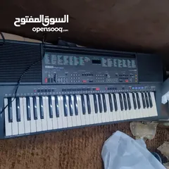  2 اورغ للبيع