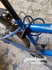  2 بسكليت بالصلاة على النبي