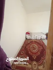  6 بيت للبيع 100 متر مربع 10	×10 ركن طابقين طابو زراعي سند 25 ملك اشخاص اصولي جدا وكاله ام الصوره الزعف