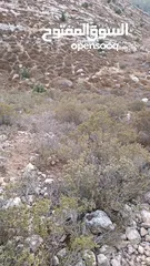  1 ارض للبيع في جفنا مساحه 600, متر للبيناء