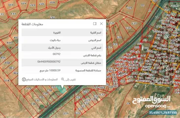  3 أرض 10 دنم دبة حانوت على الشارع الدولي