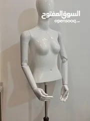  6 مانيكان للعرض