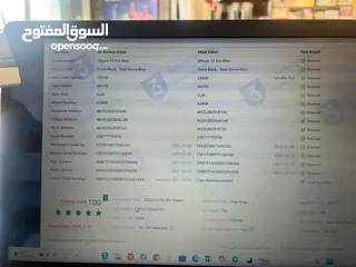  10 13 برو ماكس بي فطر بالظهر الباقي مكفول