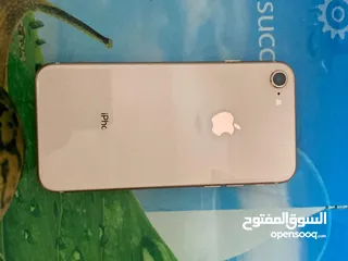  1 مطلووووووب ابفون