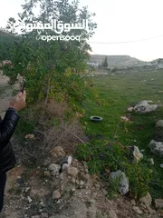  5 ارض للبيع في منطقة الشواورة 761 متر مربع واصلها جميع الخدمات