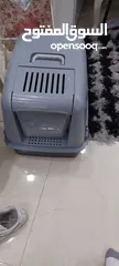  8 قطة للبيع انثى عمرها 3 اشهر لعوبة جداا