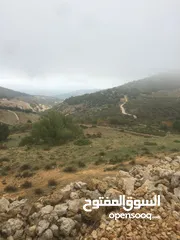  9 أرض ممتازة في جرش للسكن و للزراعة بقرب أحراش الدولة و سعر مغري  للمزيد من المعلومات اقرأ الوصف