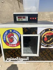  1 فقاسة بيض للبيع