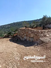  22 عمارة اراضي وبناء السناسل