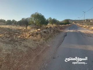  7 ارض للبيع جرش ام قنطره