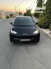 4 Byd Seagull