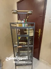  3 bird cage with birds for 25kd