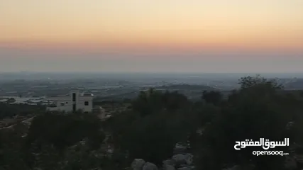  3 قطعة ارض مطلة عالساحل المحتل