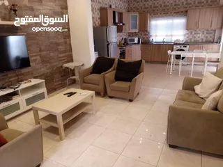  1 Fully furnished flat apartment for rent