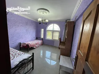  3 وسيم المقدسي