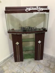  3 حوض سمك مع قاعدة مرتفعة وارفف زجاج