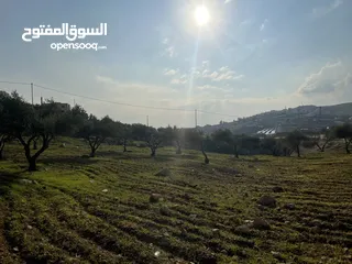  4 اجمل قطعة ارض للبيع في جرش أم قنطره حوض المحمر ثنين دنم مقابل مطعم ريف المزرعه