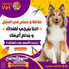  29 خدمات بيطرية متكاملة للحيوانات الاليفة