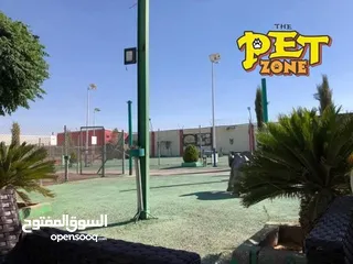  2 احجز لاقامه كلبك وراحته