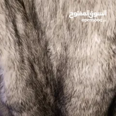  3 معطف رائع للشتاء