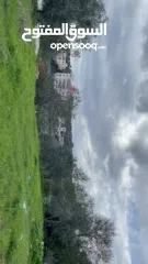  2 ارض للبيع بالجابريات